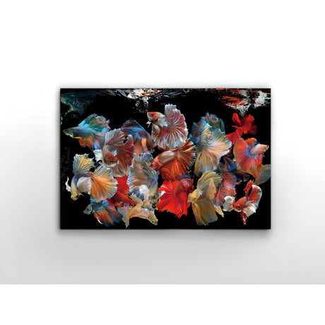 Peces Siam Fluid Motion Fish Photography Print – 150x100cm