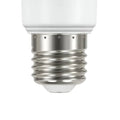ES & SES Bulbs