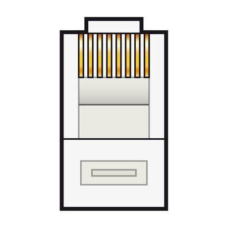 AVSL RJ45 8P8C modular crimp plug for Cat5e/Cat6 Ethernet, shown front-on with gold contacts and clear polycarbonate body on a white background.