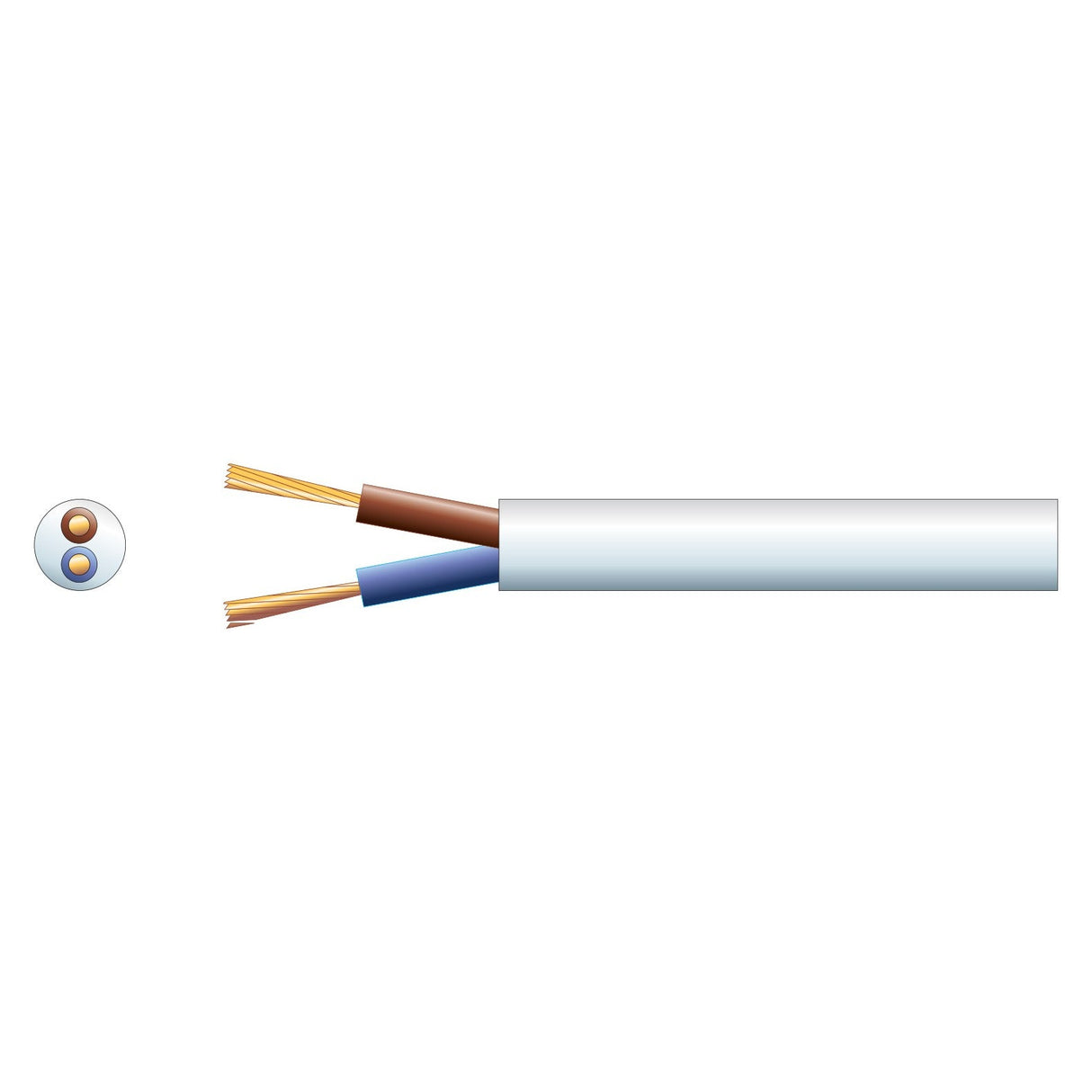 Illustration of the Mercury 2 Core Round Mains PVC cable, featuring a flexible white PVC sheath with two exposed copper wires, one brown and one blue. A cross-section shows these wires securely encased within the sheath, making it ideal for light electrical applications.