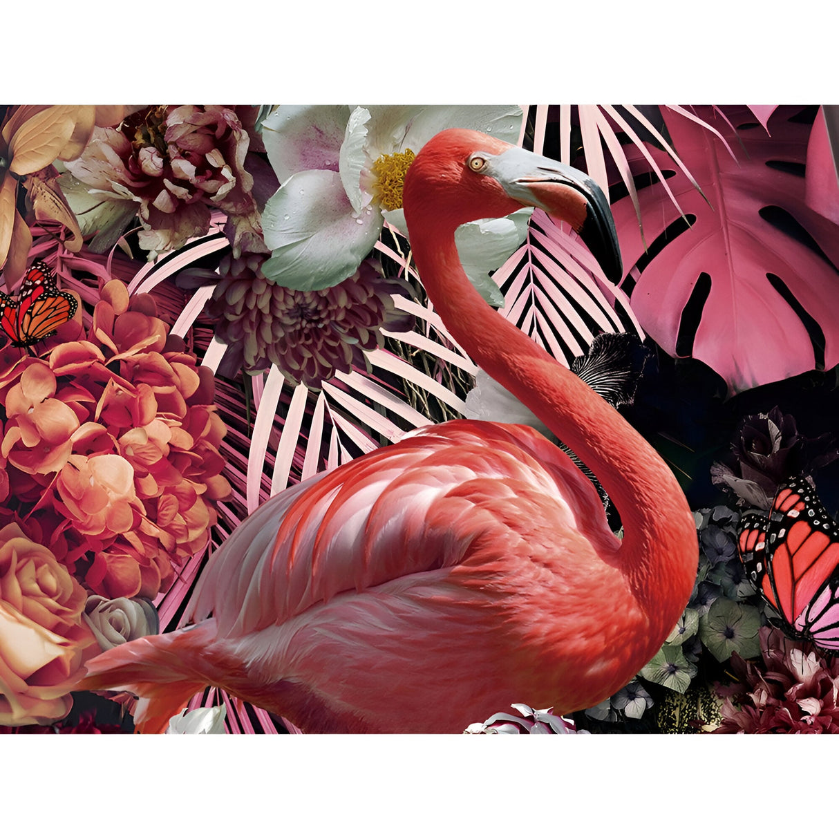 Flamenco Tropical Flower Art Photography Print – 80x120cm