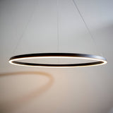 Cliffton LED Pendant in matte black, a large circular ring fixture with warm white diffused light, suspended by fine wire cables.