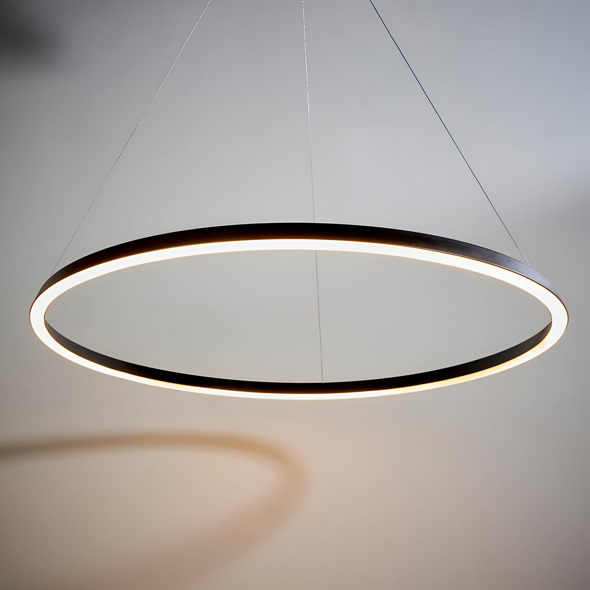 Cliffton LED pendant in black, a large circular ring light with white diffuser glow, suspended on fine cables against a plain light grey background.