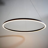 Cliffton LED pendant in black, a large circular ring light with white diffuser glow, suspended on fine cables against a plain light grey background.