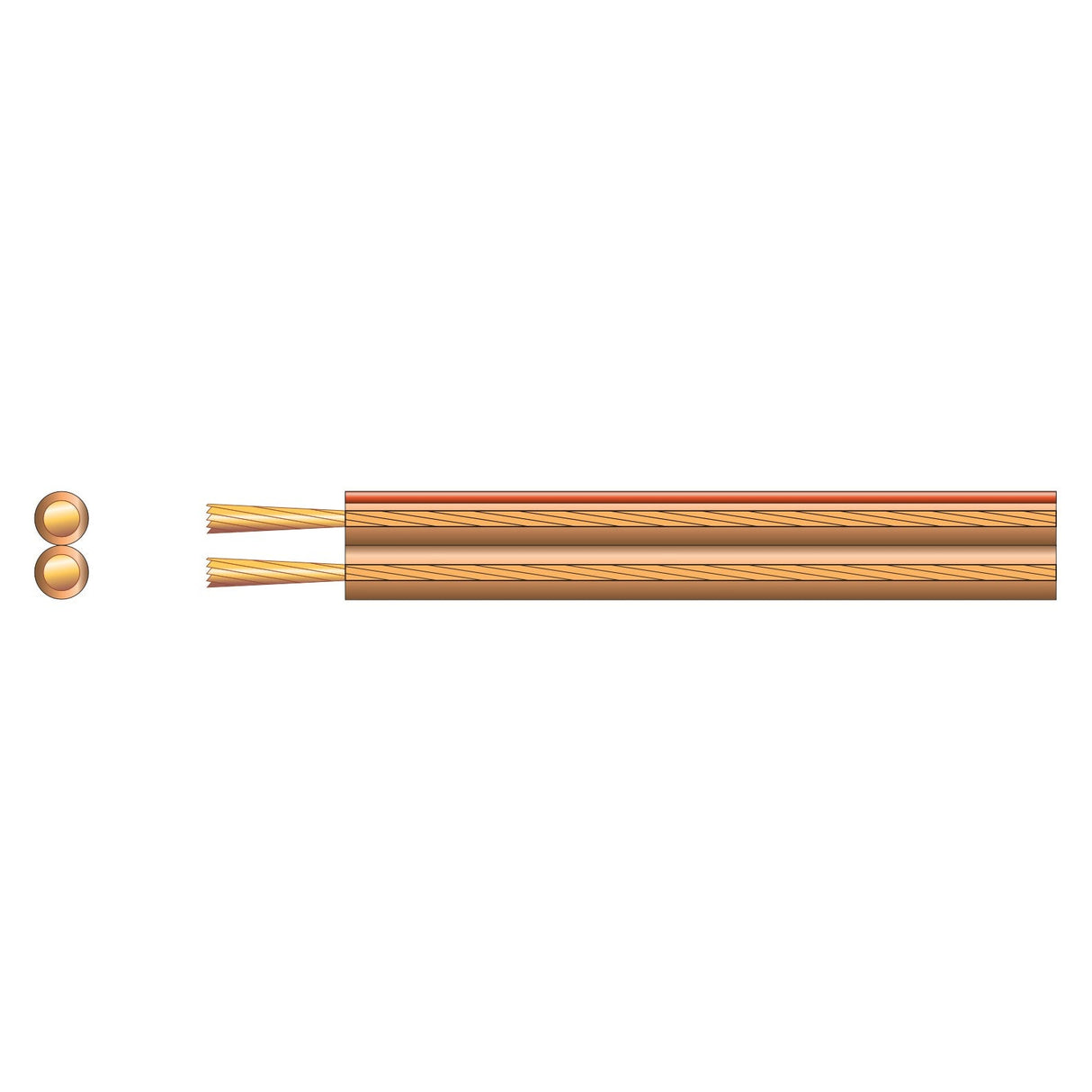 This illustration showcases the Mercury Economy Transparent Speaker Cable, 2 x 24 (100m), presenting a cross-section view of two brown, flexible cables containing numerous smaller copper strands. The front view highlights two circular copper wire ends, emphasizing the internal composition and quality of the CCA conductor within each 100m length.