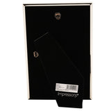Thin Oblong Silverplated Metal Photo Frame 9 x 6in - Silver