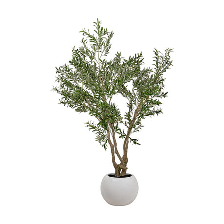 Extra Large Olive Tree in Pot, 250cm faux tree with branching trunks and green foliage in a round white pot, set against a plain white background.