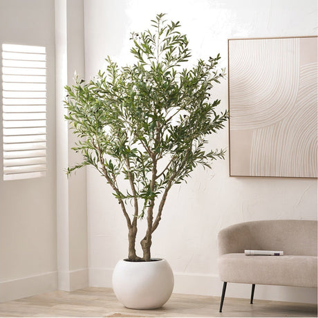 Extra Large Olive Tree in Pot, 250cm faux tree with green foliage and branching trunk in a round white planter, shown in a neutral living room setting.