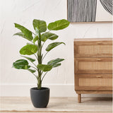 Faux Elephant Ear Plant, 120cm, with broad green leaves in a matte black pot, shown beside a wooden rattan-front chest of drawers.