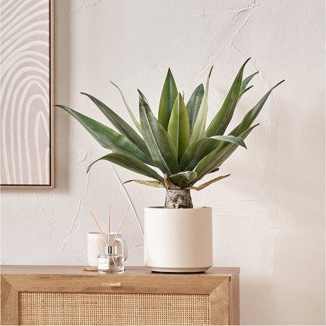 Faux Agave Plant in Pot, 53cm, with spiky green leaves in a white cylindrical pot, styled on a wooden sideboard against a light wall.