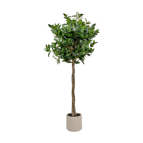 Medium Bay Tree in Pot, 150cm artificial tree with dense green foliage on a braided trunk, set in a round beige planter against a plain white background.