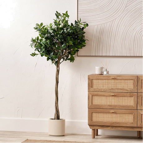 Medium Bay Tree in Pot, 150cm artificial tree with twisted stem and dense green foliage in a round cream pot, styled beside a wooden rattan sideboard.