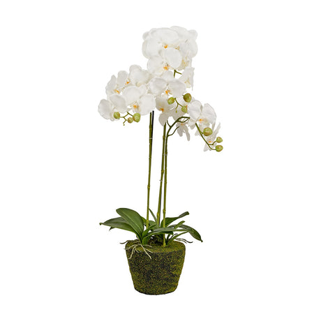 Artificial white orchid plant, 80cm tall, with multiple blooms on green stems and leaves in a moss-textured pot, shown on a plain white background.