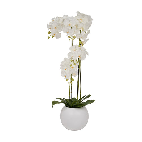 Tall artificial white orchid plant, 115cm, with multiple stems and blooms in a round white ceramic pot, shown against a plain white background.