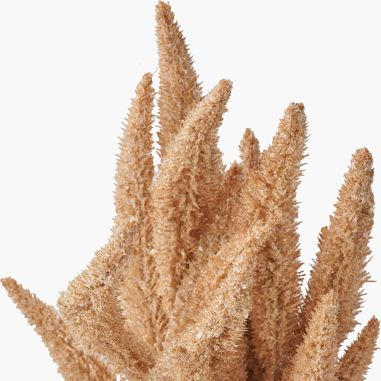 Natural Apricot Foxtail Hand-Tied 3 Stem Bundle Artificial Flowers