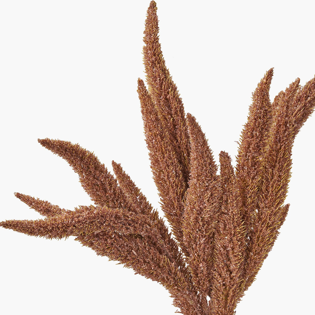 Mulberry Brown Foxtail Hand-Tied 3 Stem Bundle Pack Artificial Flowers