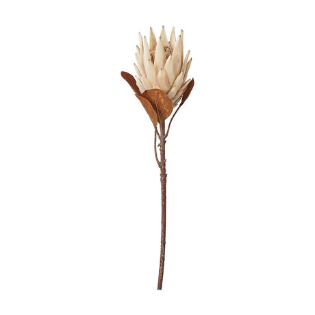 Artificial protea flower on a wire stem with cream, spiked petals and rust-toned outer leaves, shown on a plain white background.