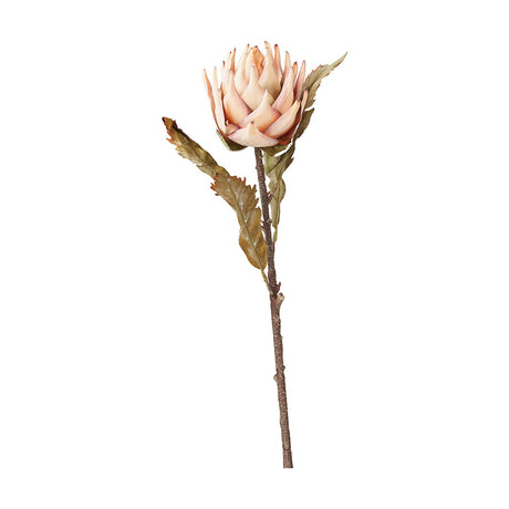 Artificial lotus flower stem from the Apricot Lotus Pack of 6, 17cm wide bloom in apricot and cream with layered petals, brown woody stem, and green foliage on a plain white background.