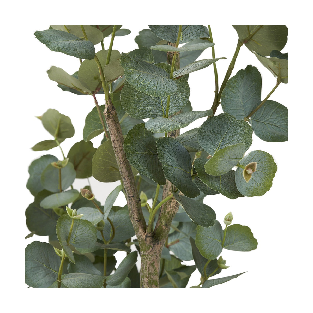Close-up of the Tree in Pot 130cm faux tree showing round green-grey leaves, slender stems, and a woody trunk against a plain white background.