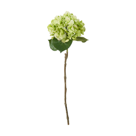 Artificial green hydrangea stem with a rounded flower head, serrated leaves, and a slender brown twig-effect stem, shown against a plain white background.