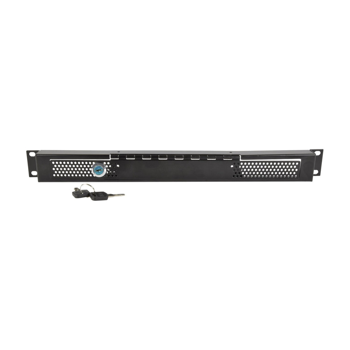 Adastra 1U Rack Security Mesh Panel with Lock