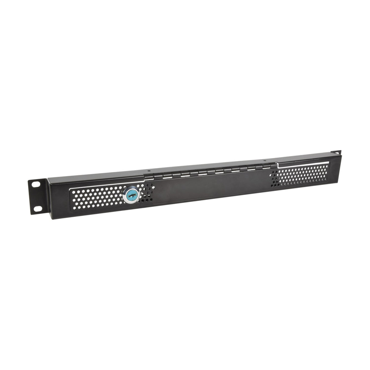 Adastra 1U Rack Security Mesh Panel with Lock