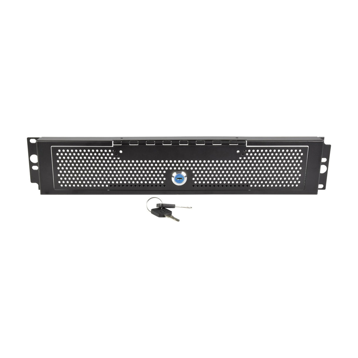Adastra 2U Lockable Steel Mesh Rack Security Panel