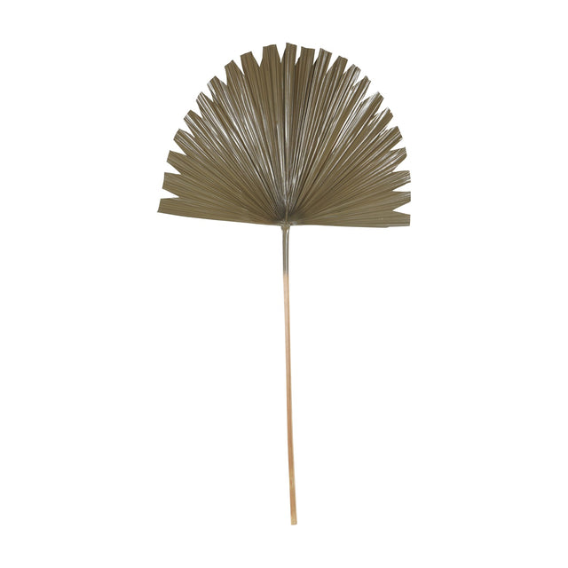 Libra Interiors Wide Fan Palm Leaf faux plant in brown, a tall dried palm stem with a pleated fan-shaped leaf, shown on a plain white background.