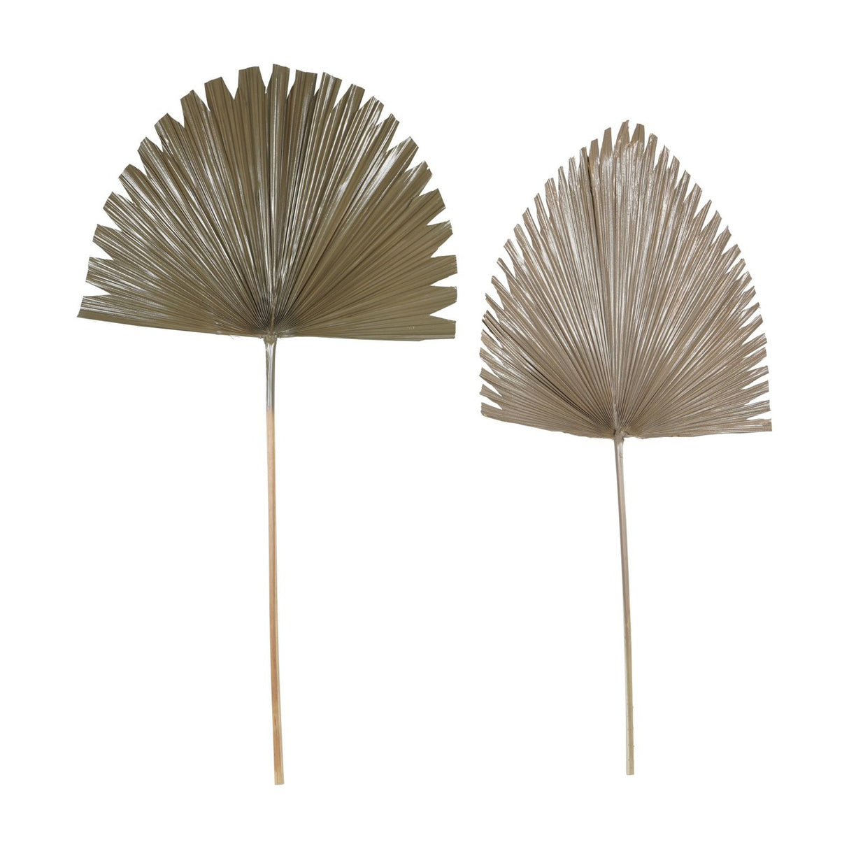 Libra Interiors Wide Fan Palm Leaf artificial stems in brown, two dried fan-shaped palm leaves with pleated texture and long slender stems on white.