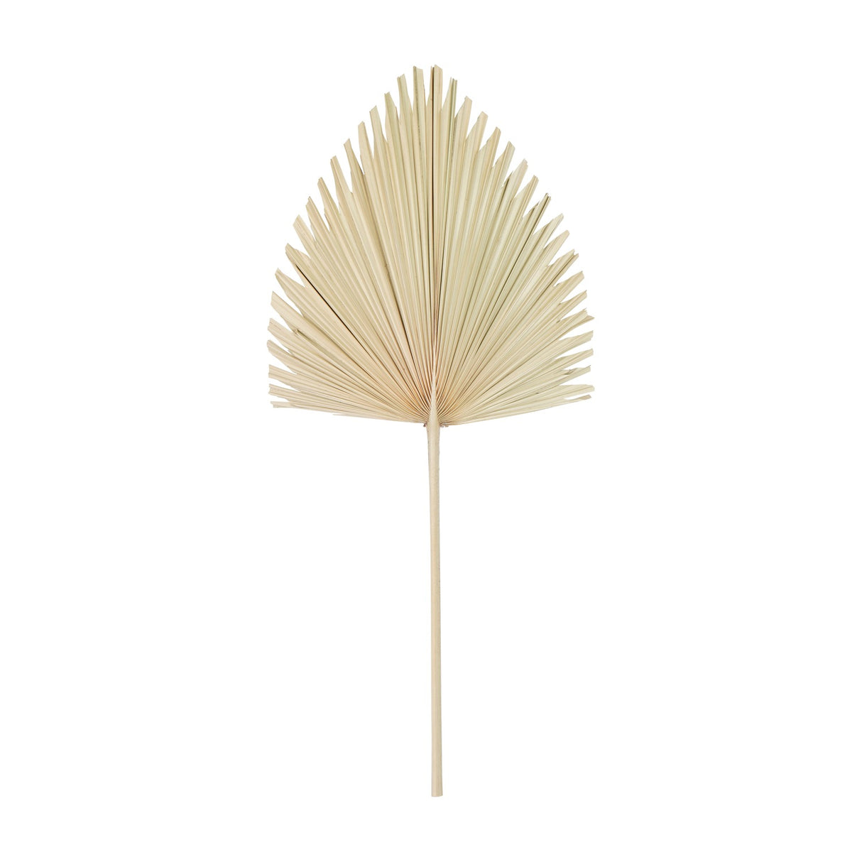 Libra Interiors Arrowhead Fan Palm Leaf faux stem with a fan-shaped pleated frond in a natural sandy tone on a slim stem, shown on a white background.