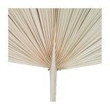 Libra Interiors Arrowhead Fan Palm Leaf faux stem with ribbed pleats fanning from a slim natural stem in a soft sandy tone on a white background.