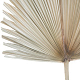 Close-up of Libra Interiors Arrowhead Fan Palm Leaf artificial stem, showing the ribbed pleats fanning from a slim natural stem in a soft sandy tone.