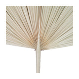 Libra Interiors Arrowhead Fan Palm Leaf faux plant with pleated ribbed fronds fanning from a slim natural stem in a soft sandy tone on white.