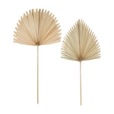 Libra Interiors Arrowhead Fan Palm Leaf faux stems in natural sandy tone, showing two dried fan-shaped fronds on long slim stems against a white background.