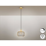 Osiris 1 Light Pendant - Gold