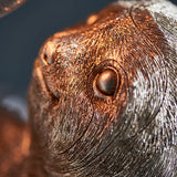 Close-up of Endon Cliffmont table lamp showing the resin sloth's face and eye in vintage silver finish with fine moulded fur detail.