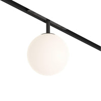 Track Ceiling Lights