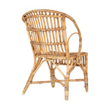 Ajaya Rattan Garden Chair - Natural