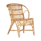 Ajaya Rattan Garden Chair - Natural