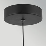 Arden 1 Light Mini Pendant Light - Matt Black