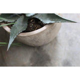 Affiti Medium Clay Planter - Antique Grey