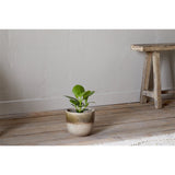 Almeida Small Ceramic Planter - Olive & Natural