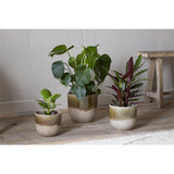 Almeida Small Ceramic Planter - Olive & Natural