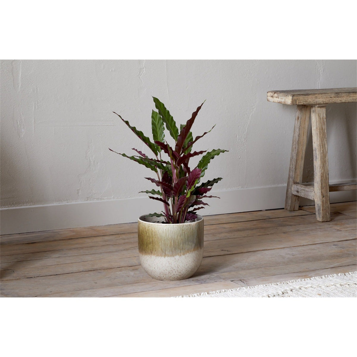 Almeida Medium Reactive Glaze Planter - Olive & Natural