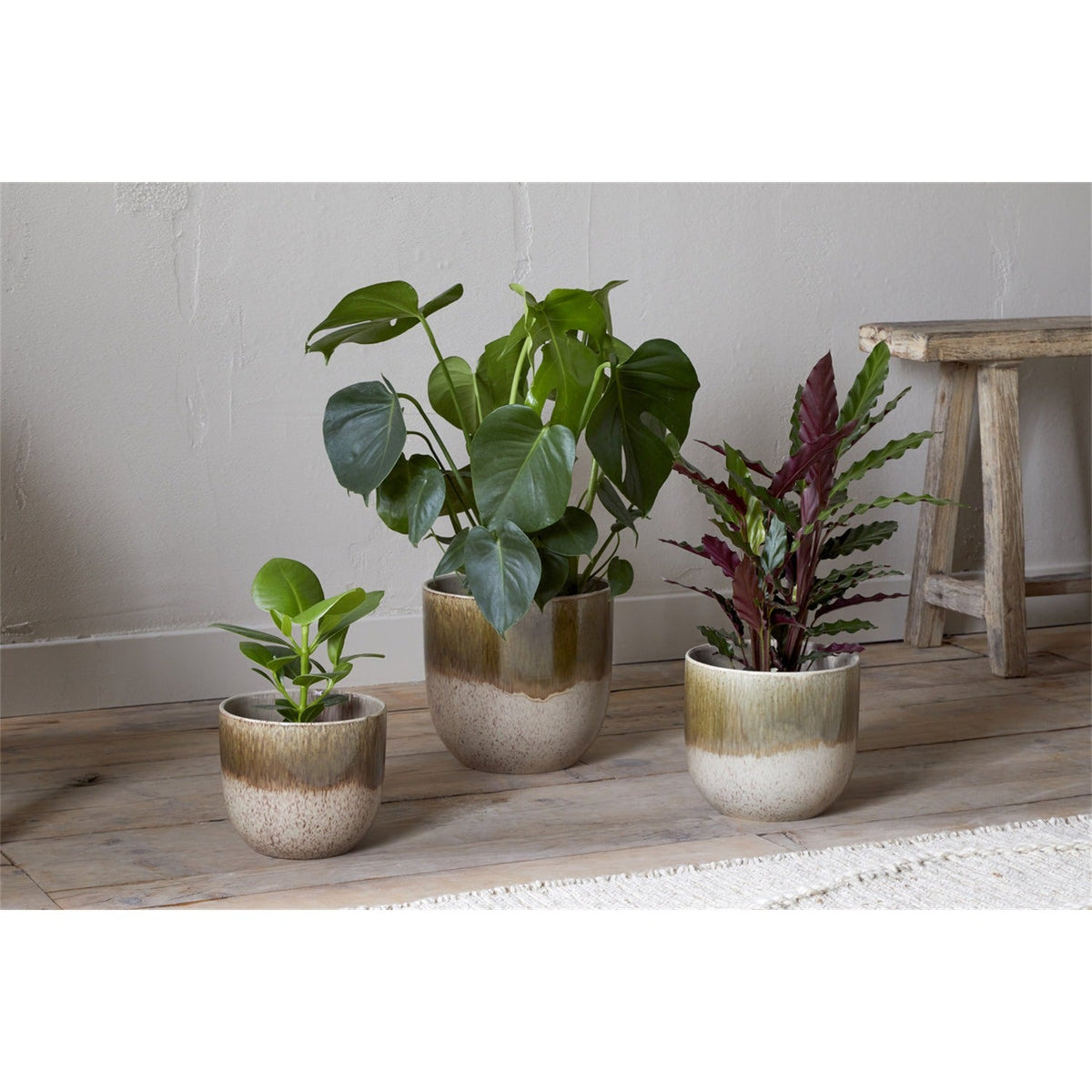 Almeida Large Reactive Glaze Planter - Olive & Natural