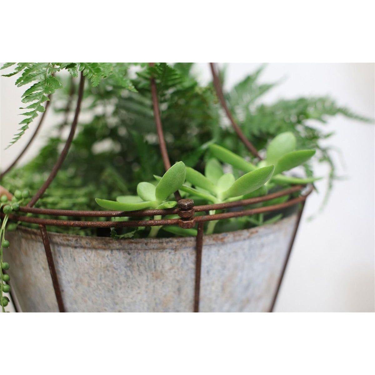 Abari Small Caged Hanging Planter - Aged Zinc