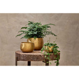 Atsu Medium Brass Planter - Antique Brass