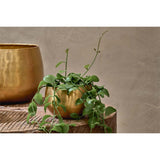 Atsu Medium Brass Planter - Antique Brass