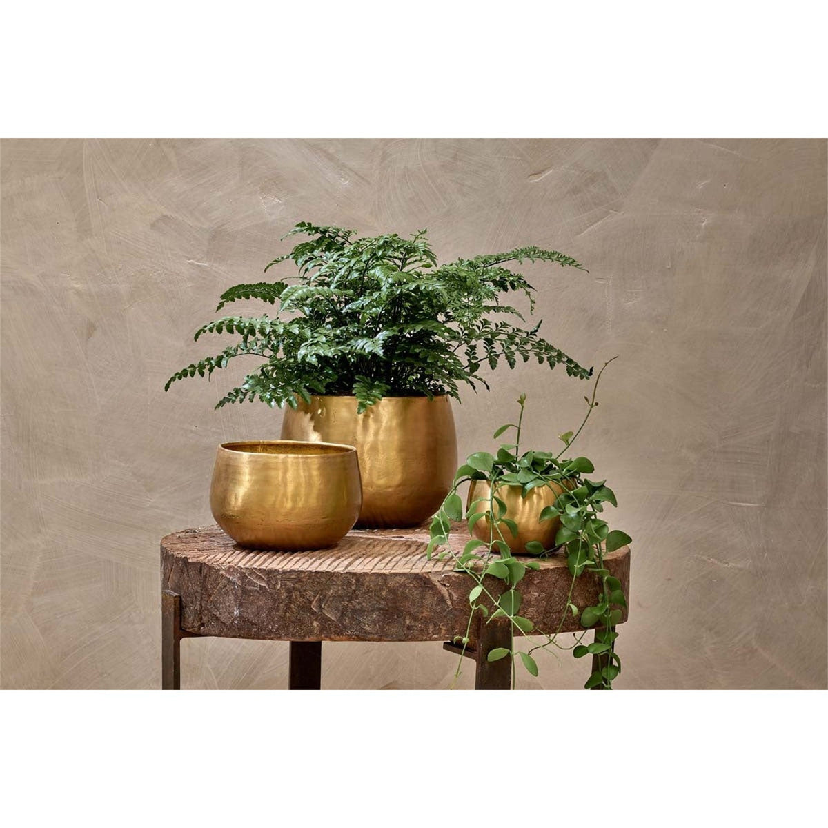 Atsu Large Brass Planter - Antique Brass