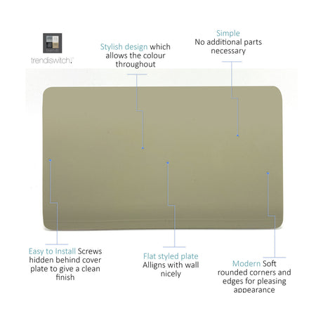 Double Blanking Plate in champagne gold, a screwless flat rectangular panel with rounded corners, shown with feature callouts on stylish design, hidden screws, and modern flat styling.